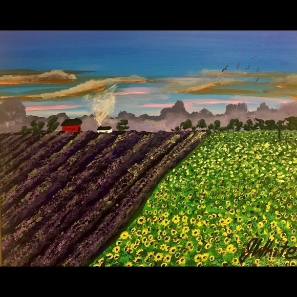 SANDY’S Sunflowers and Lavender fields forever